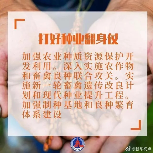 1613977319335380.jpg 2.webp.jpg